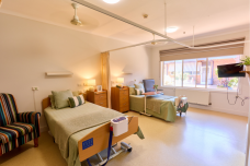 4 companion suite